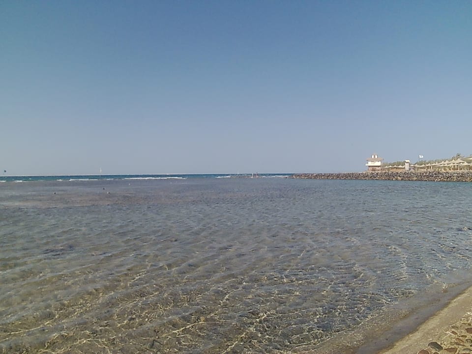 Ausblick Desert Rose