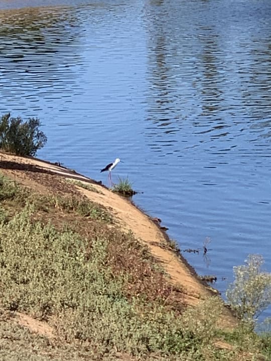 Gartenanlage Elba Palace Golf Boutique Hotel - Adults Only