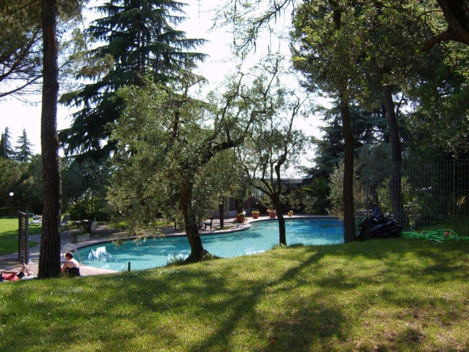 Pool   Hotel Marco Polo Hotel Marco Polo