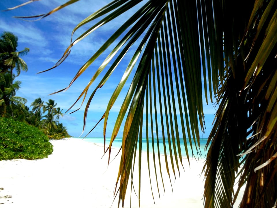 Dream beach Meeru Maldives Resort Island