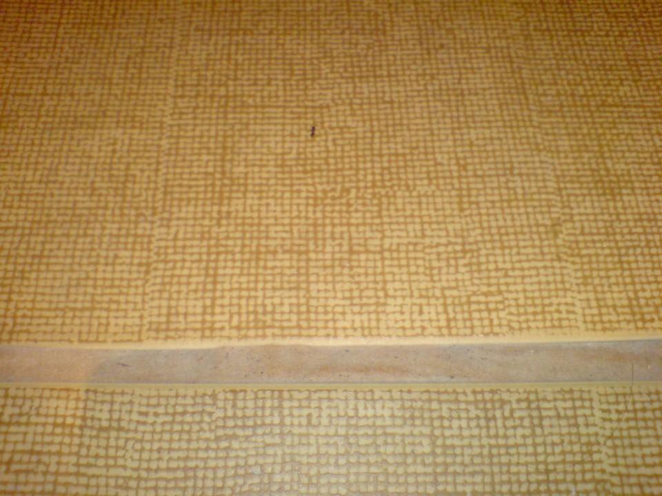 Wie versprochen: Hier die Ameise Imperial Palace Hotel