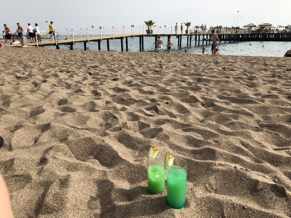 Strand Royal Seginus