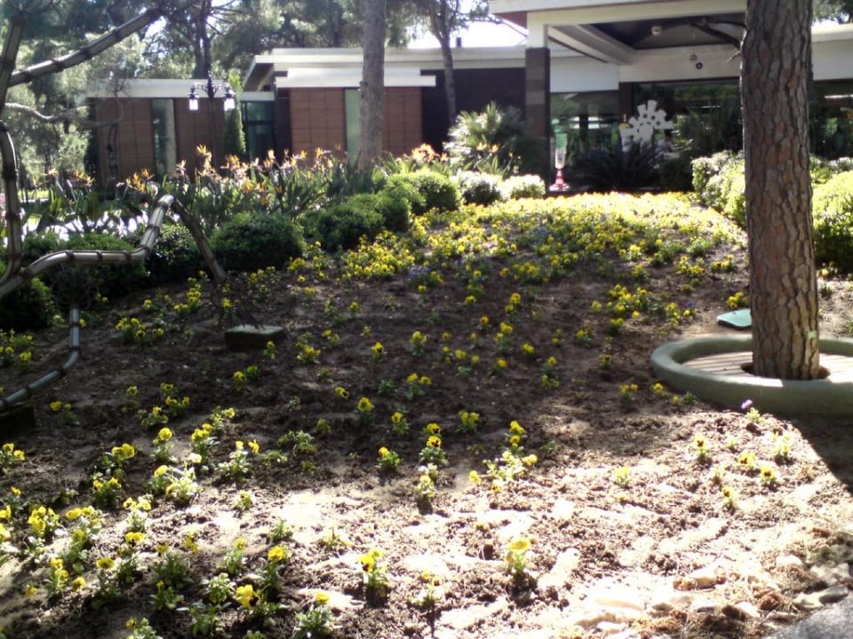 Eingang Rezeption Voyage Belek Golf & Spa