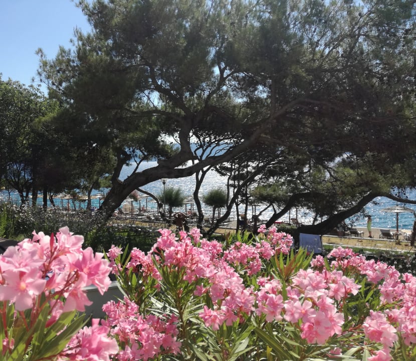 Pool Girandella Resort Valamar Collection