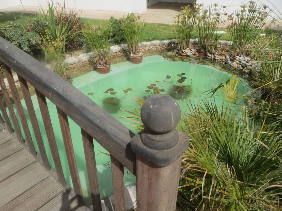 Nur die Koi Karpfen fehlen noch El Mehdi Beach Resort