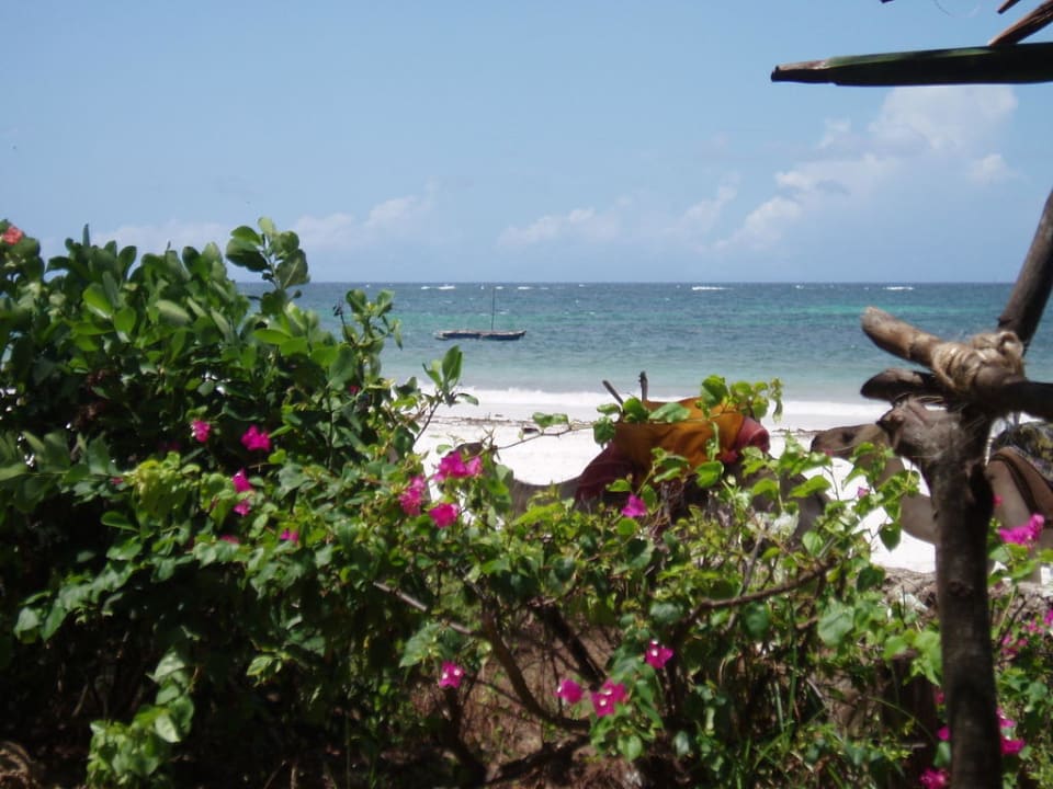 Strand Hotel Papillon Lagoon Reef