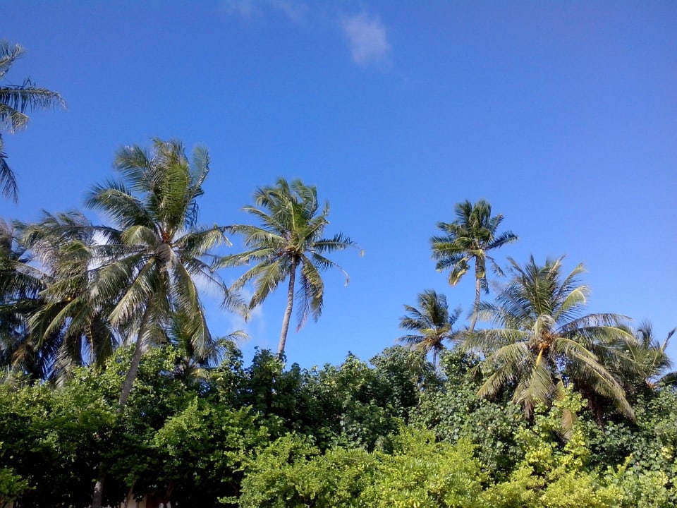 Am Strand Embudu Village