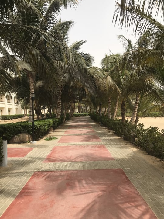 Gartenanlage Hotel Riu Karamboa