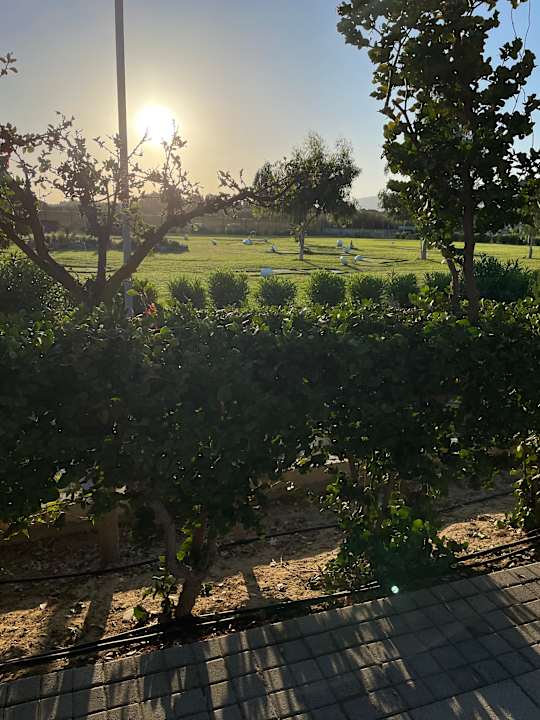 Außenansicht Astir Odysseus Kos Resort & Spa