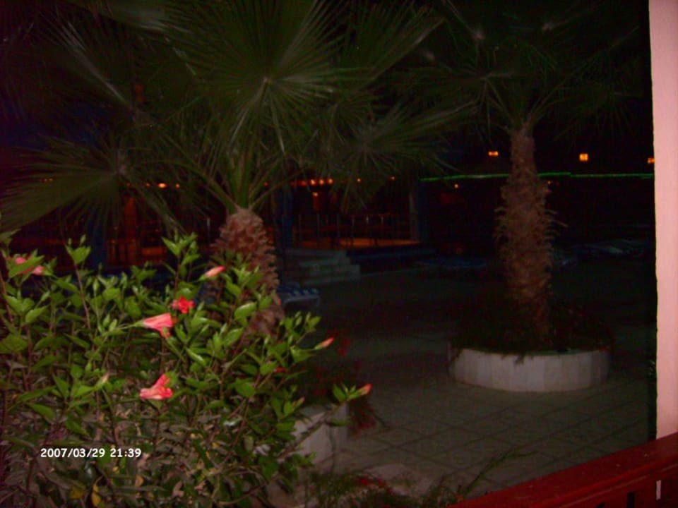Ausblick vom Balkon Blend Club Aqua Resort