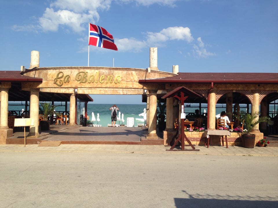 Freies Restaurant im Zentrum Sentido Marea