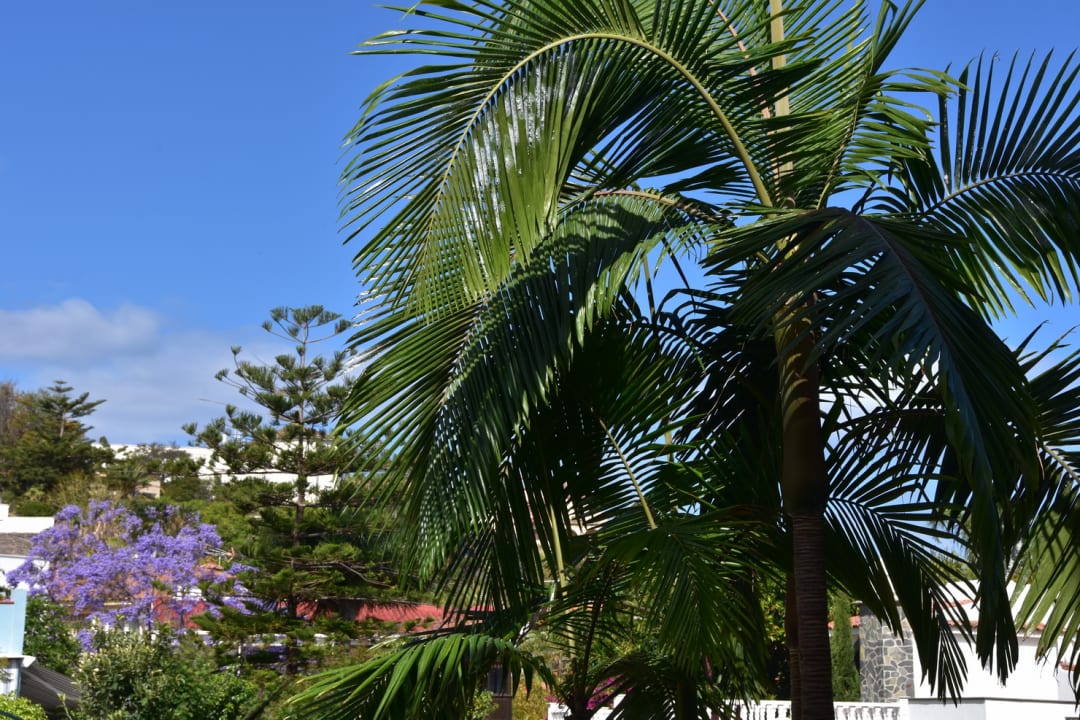 Zimmer Apartamentos Casablanca