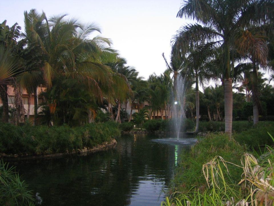 Hotelsee Catalonia Punta Cana - All Inclusive