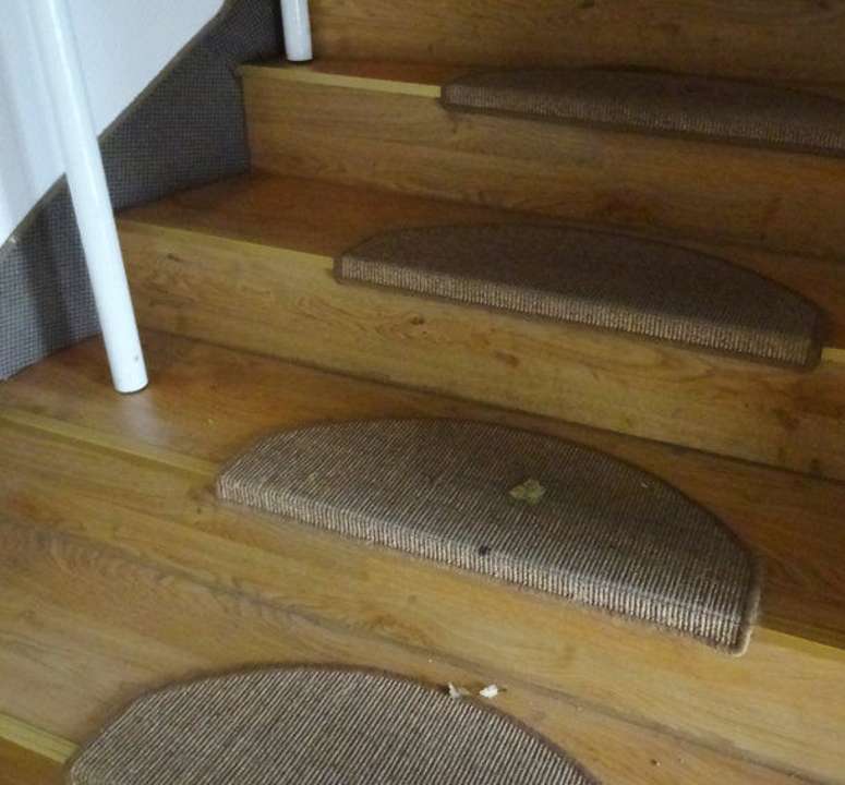 Schmutz Hotel Goldener Hirsch