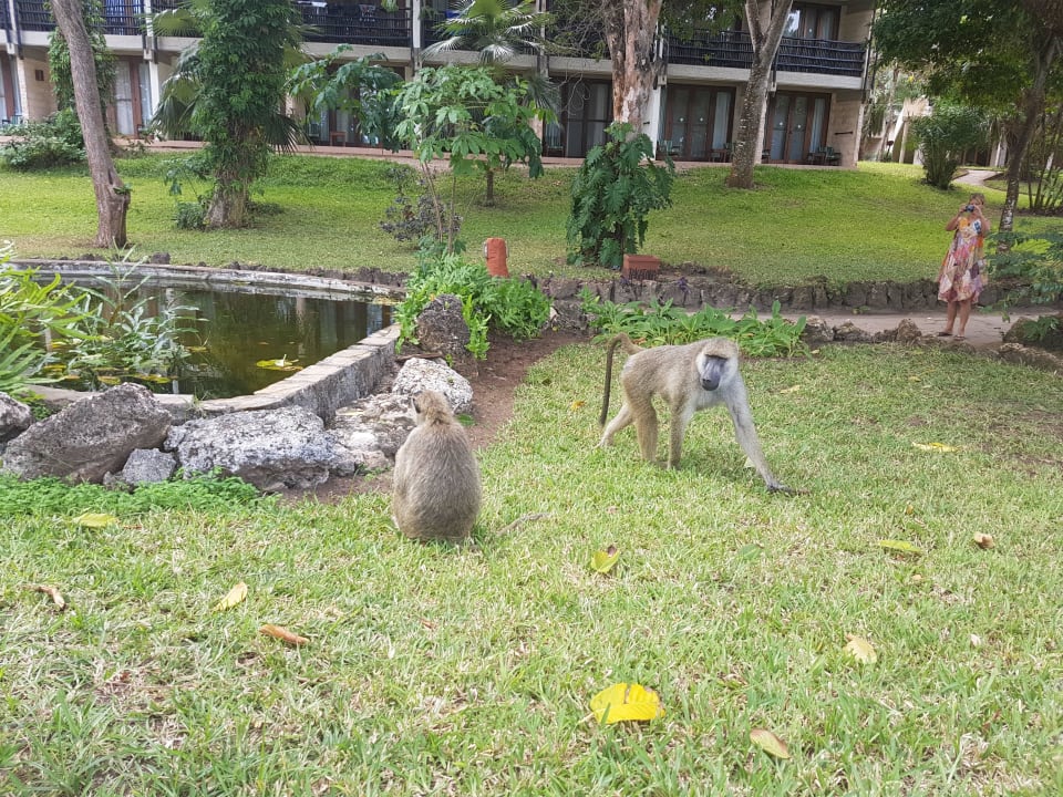 Besuch Baobab Beach Resort & Spa