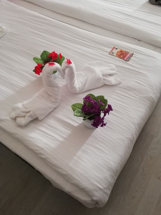 Zimmer Seaden Valentine Resort & Spa