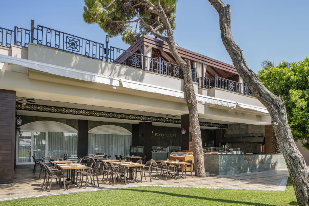 Sonstiges Papillon Ayscha