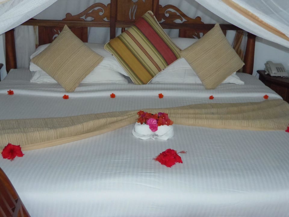 Jeden Tag etwas anderes Royal Zanzibar Beach Resort