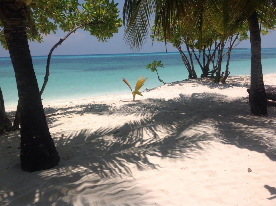 Ausblick von Terrasse Jacuzzi Beach Villa Kuredu Island Resort & Spa