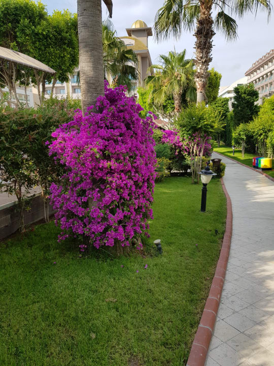 Gartenanlage Aydinbey Kings Palace & Spa