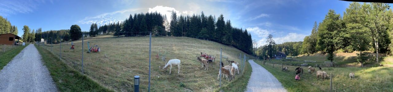 Ausblick Hotel Tannenmühle