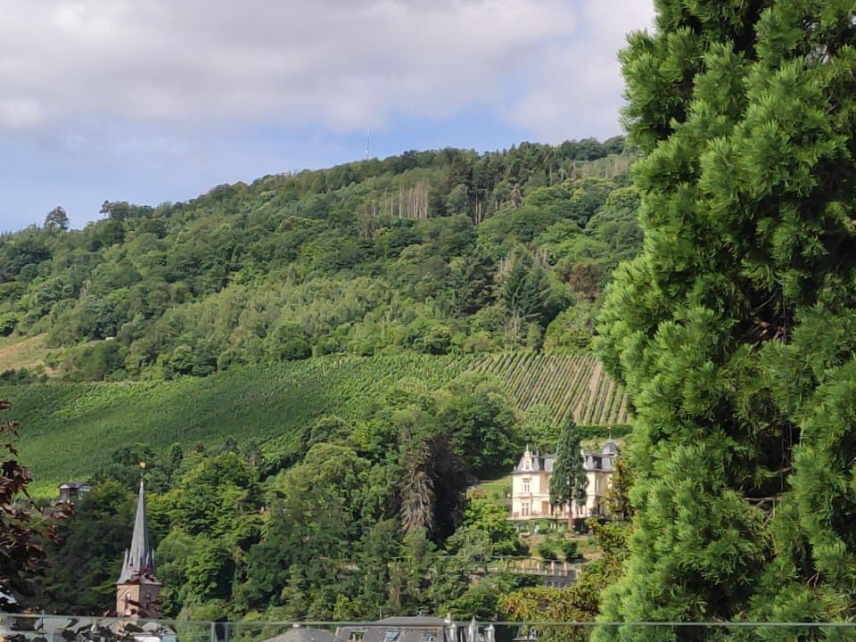 Ausblick Moselschlösschen Spa & Resort