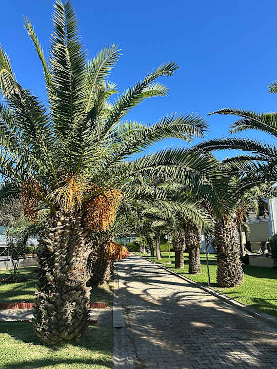 Gartenanlage Richmond Ephesus Resort