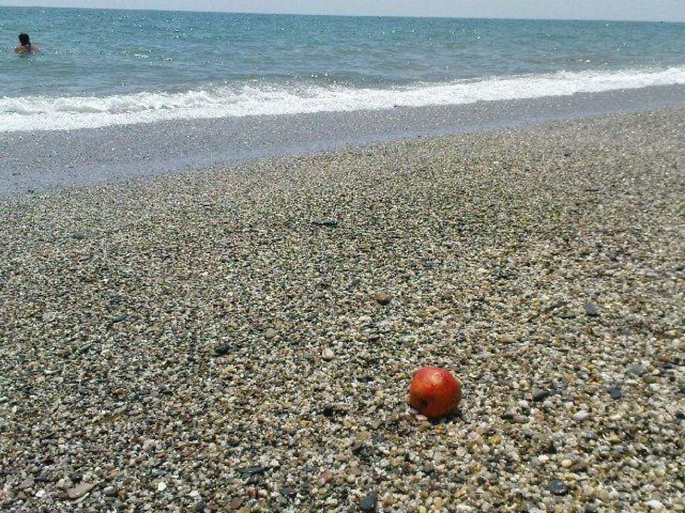 Feinkieselstrand-Idylle Aparthotel Arena Center