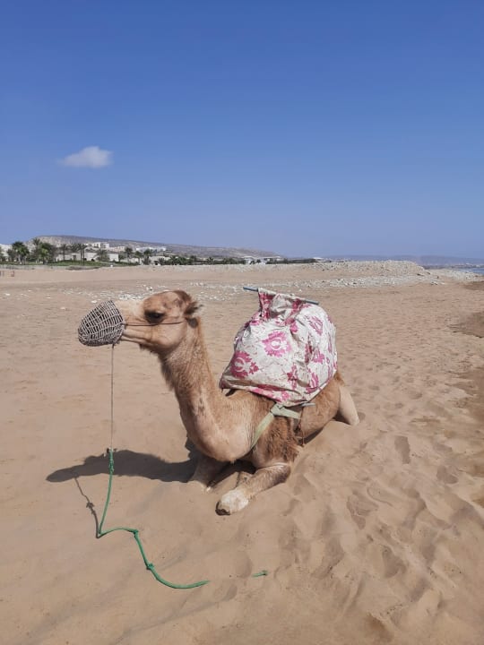 Strand Hotel Riu Palace Tikida Taghazout