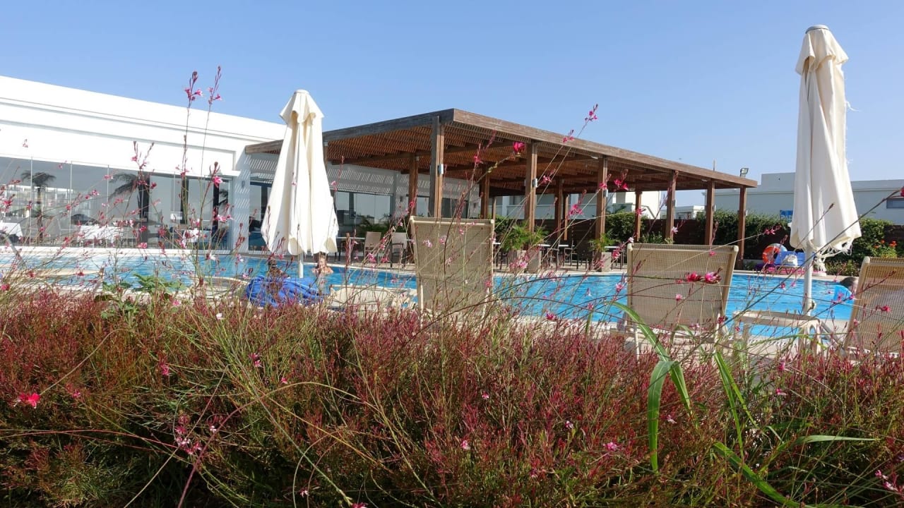 Pool nähe Strand Asterias Beach Resort