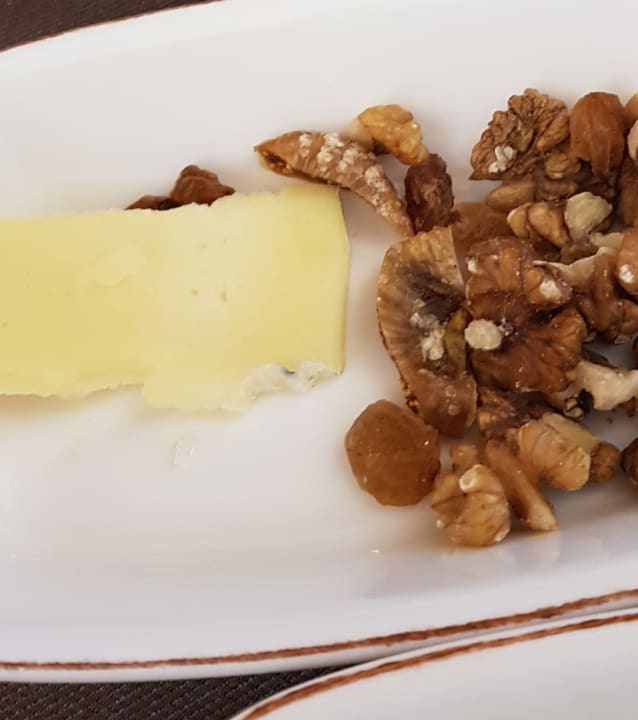 Gastro Seashell Vega