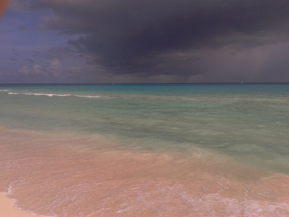 Wow! The Reef Playacar