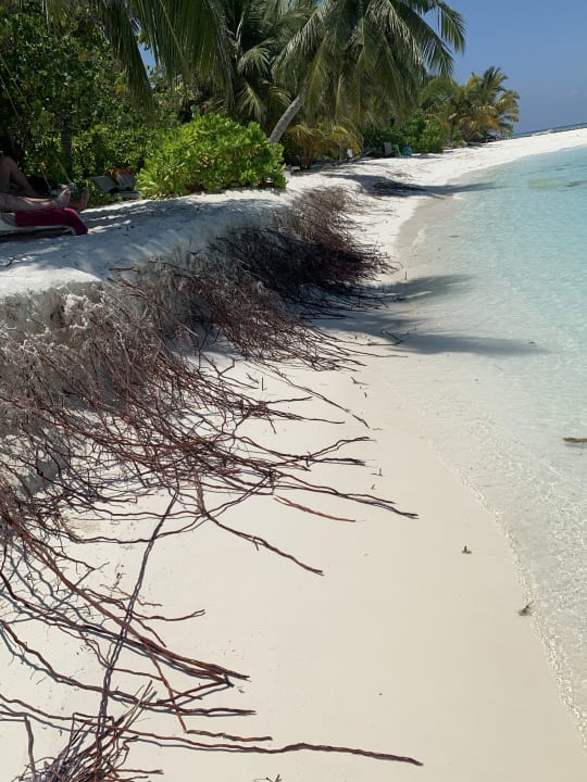 Strand Summer Island Maldives
