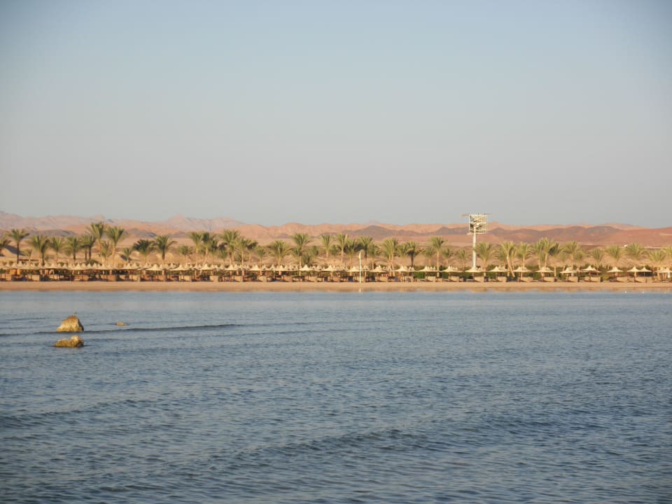 Blick auf die Coraya Bay Jaz Dar EL Madina