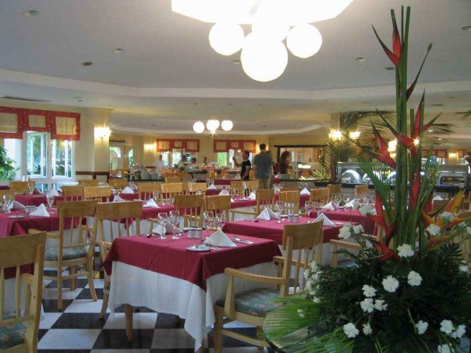 Restaurant- Buffet Melia Las Antillas - Adults only