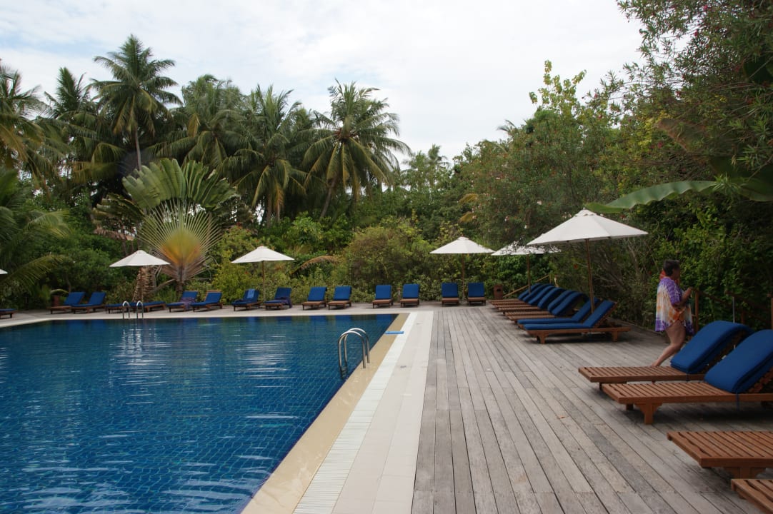 Pool Vilamendhoo Island Resort & Spa