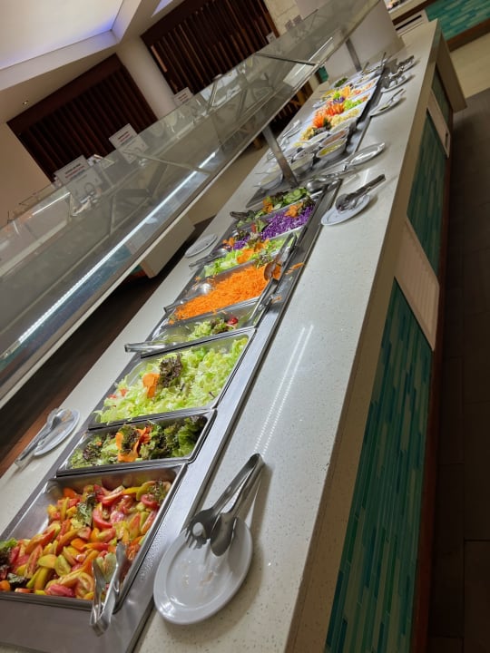 Gastro Hotel Viva Dominicus Palace by Wyndham-All Inclusive Resort