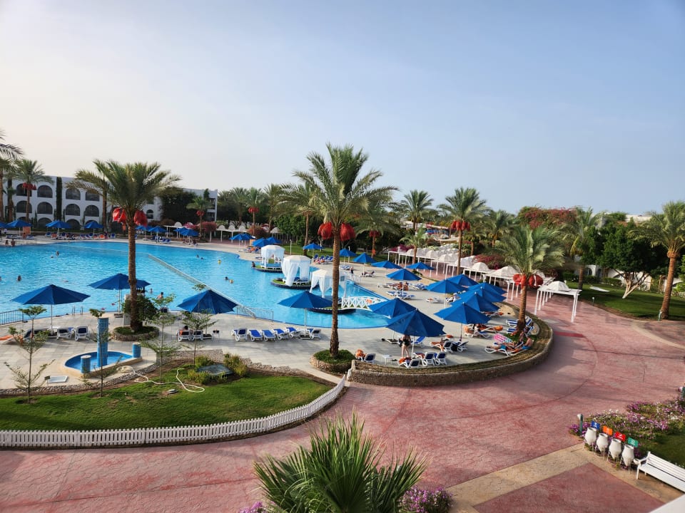 Ausblick Desert Rose