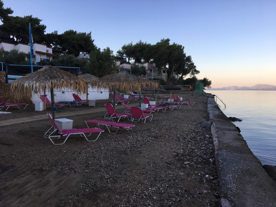 Strand Hotel Venus Beach