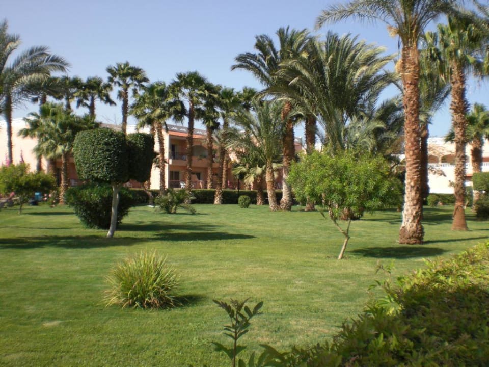 Gartenanlage Beach Albatros Resort