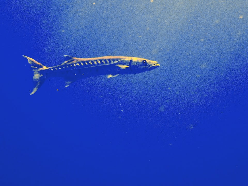 Sport & Freizeit Three Corners Equinox Beach Resort