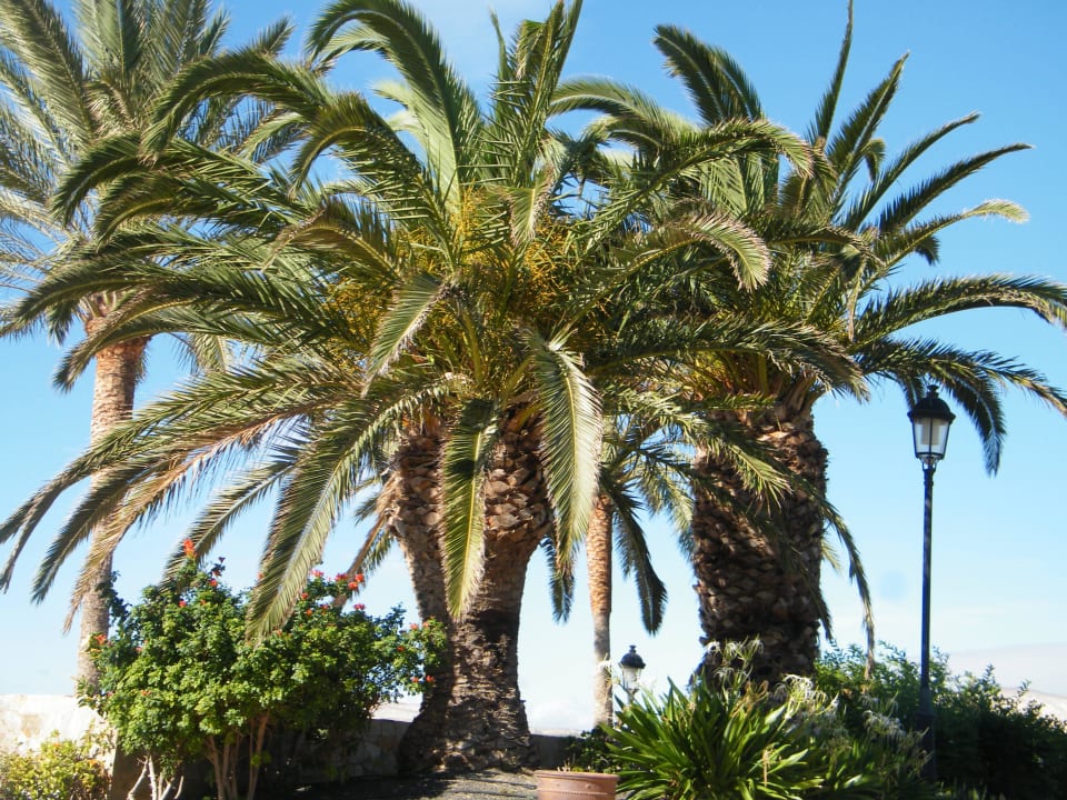 Einfach nur schön SBH Costa Calma Beach Resort