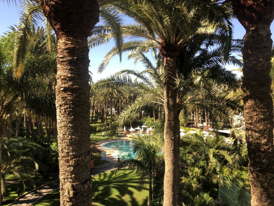 Ausblick Seaside Hotel Palm Beach