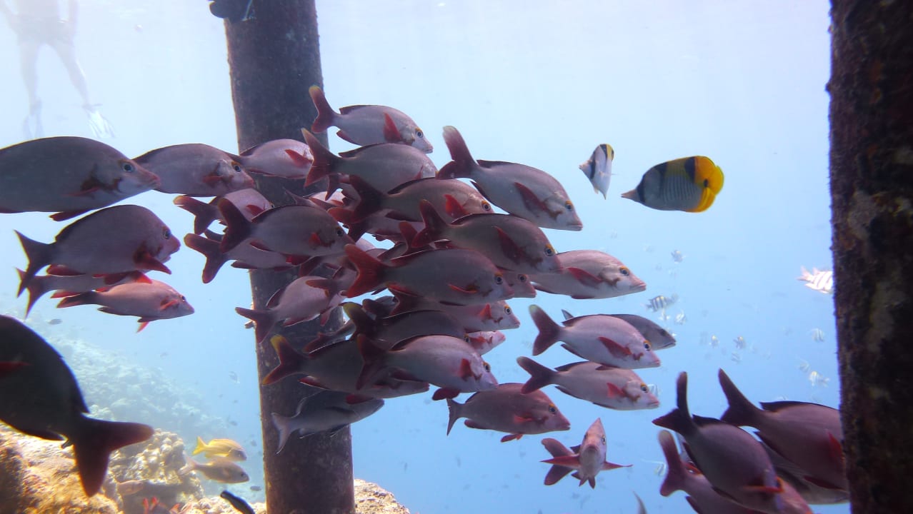 Strand Adaaran Select Meedhupparu Island Resort - Premium All Inclusive