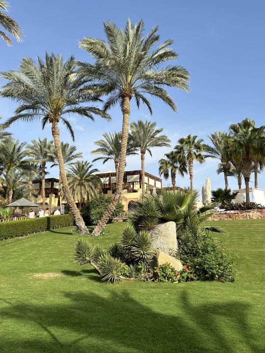 Gartenanlage Steigenberger Coraya Beach - Adults only