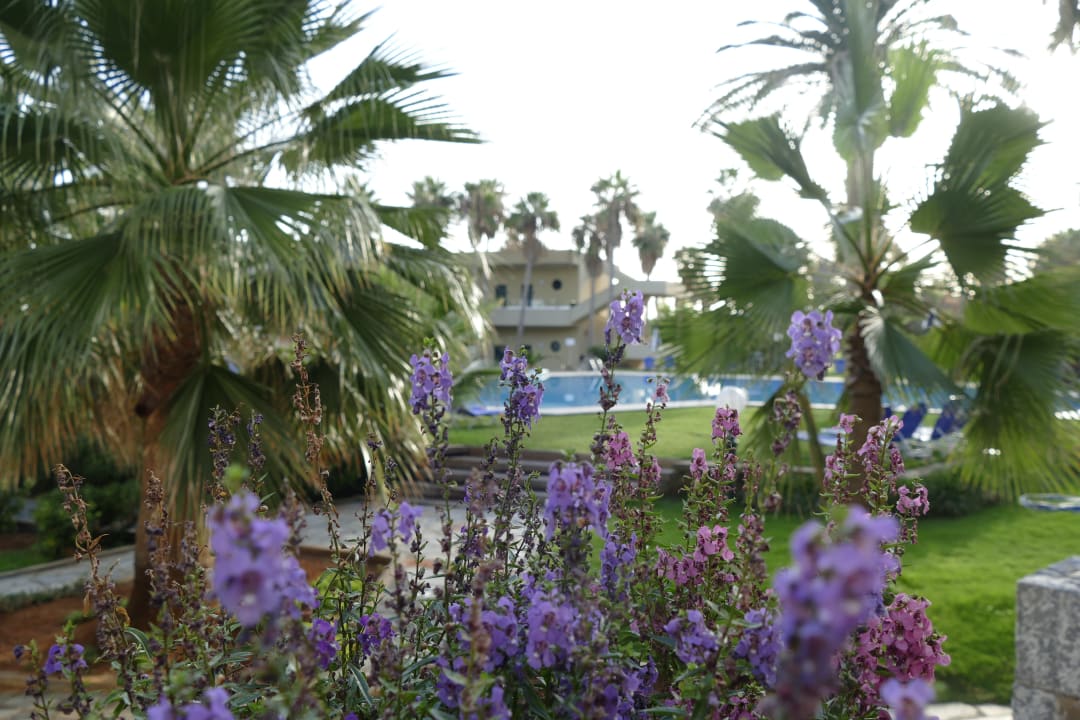 Ausblick Calimera Sirens Beach