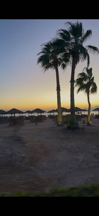 Gartenanlage Hotel Sheraton Soma Bay Resort