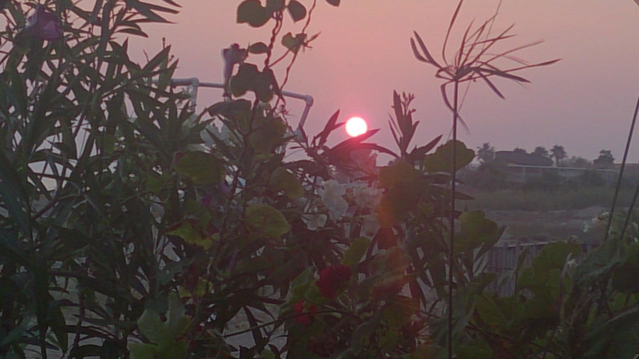 Sonnenuntergang As Queen Beach