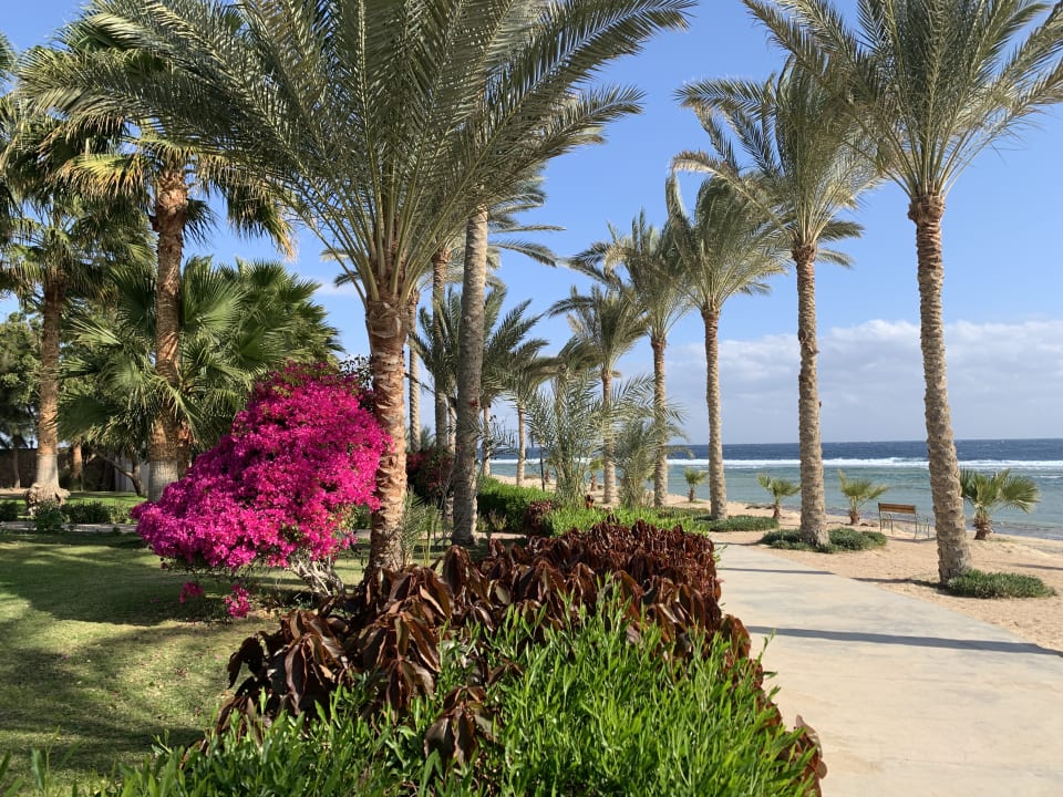 Gartenanlage Brayka Bay Resort