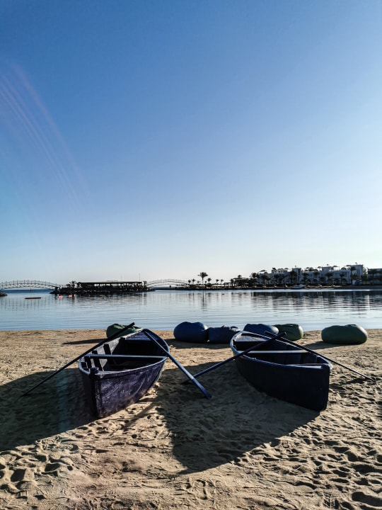 Gartenanlage Desert Rose